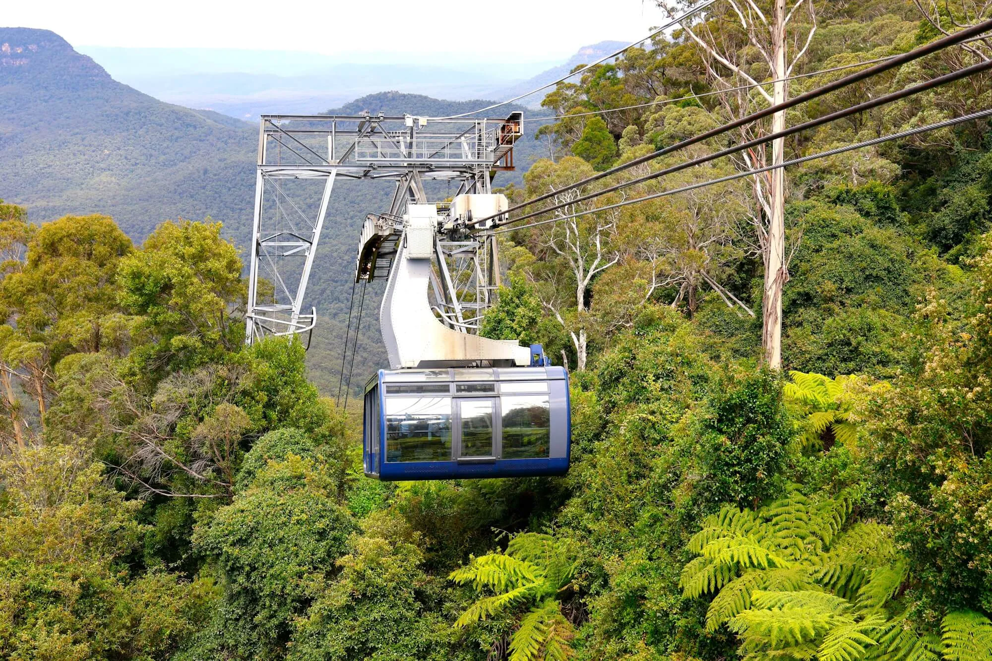 Blue Scenic Cableway cabin climbing above the rainforest canopy and tree ferns, a steel tower and the Jamison Valley behind