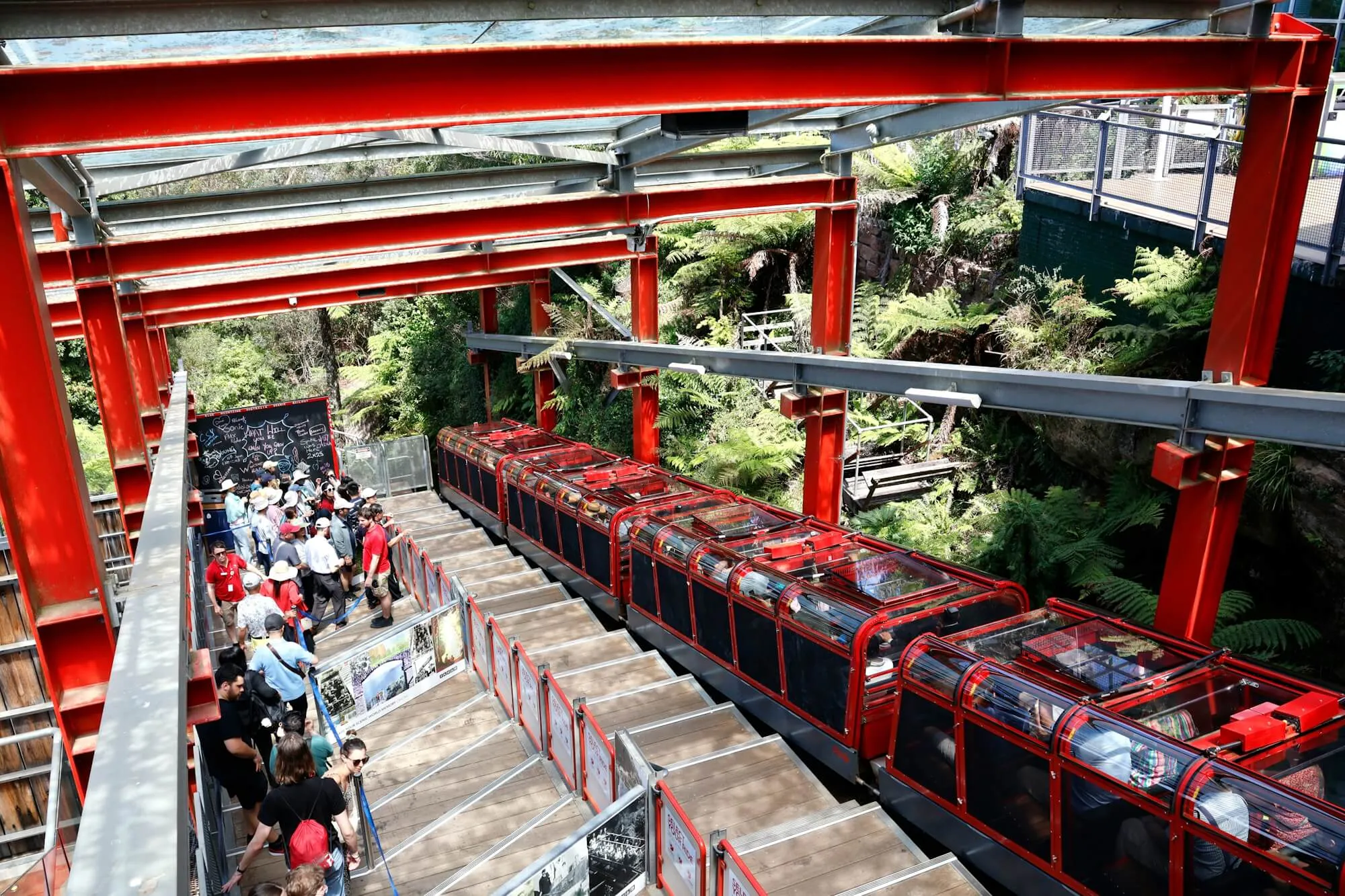 Riders queuing down the steps of the top station beside the red Scenic Railway carriages, under a red steel frame among tree ferns